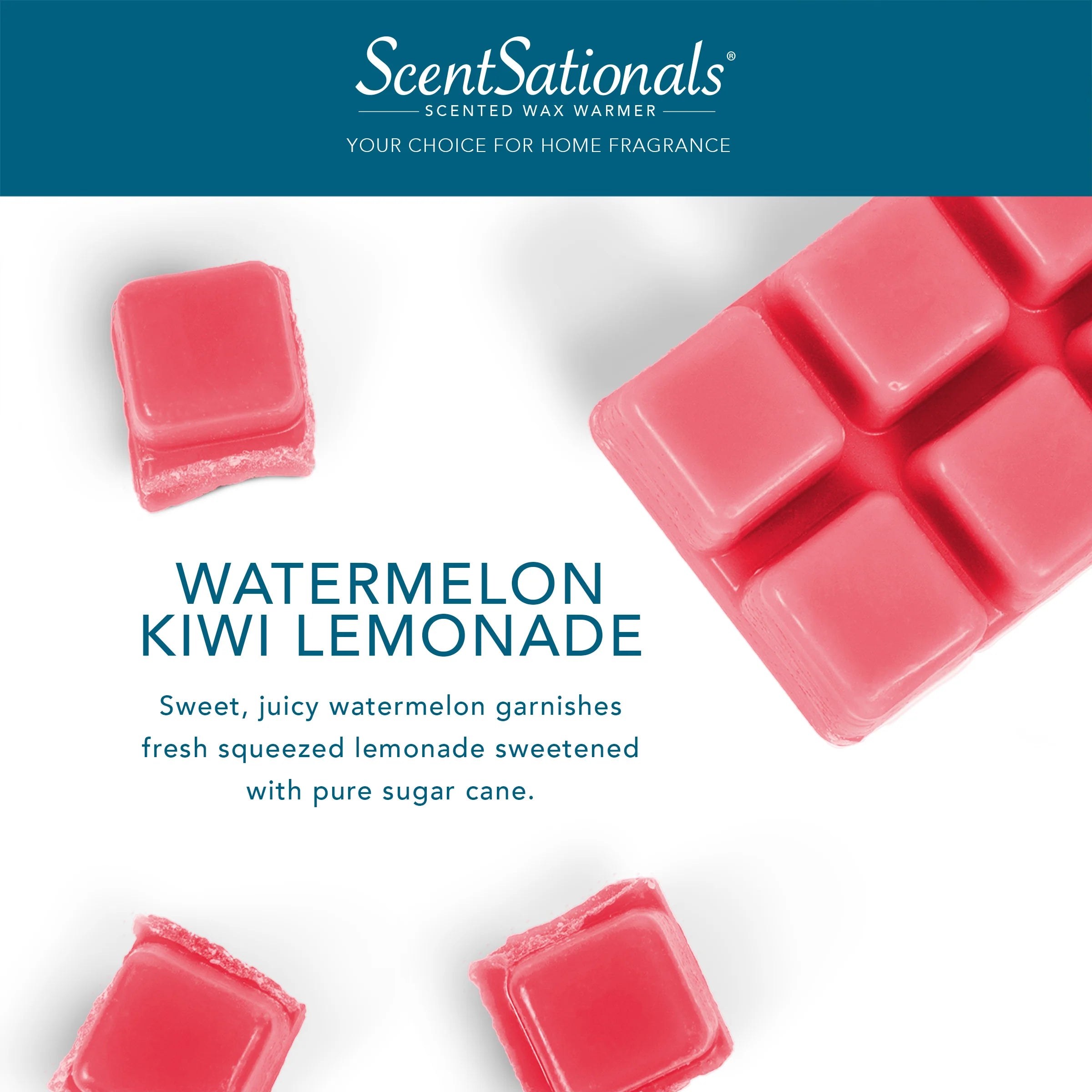 Watermelon Kiwi Lemonade Wax Melt